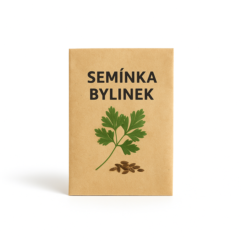 semínka bylinek